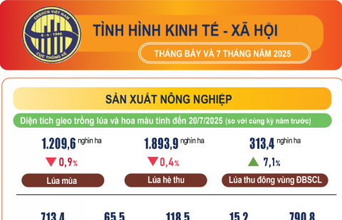 Infographic tình hình kinh tế – xã hội tháng Bảy và 7 tháng năm 2025